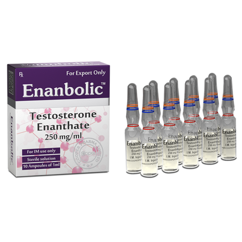 ENANTATO ENANBOLIC 250MG - COOPER